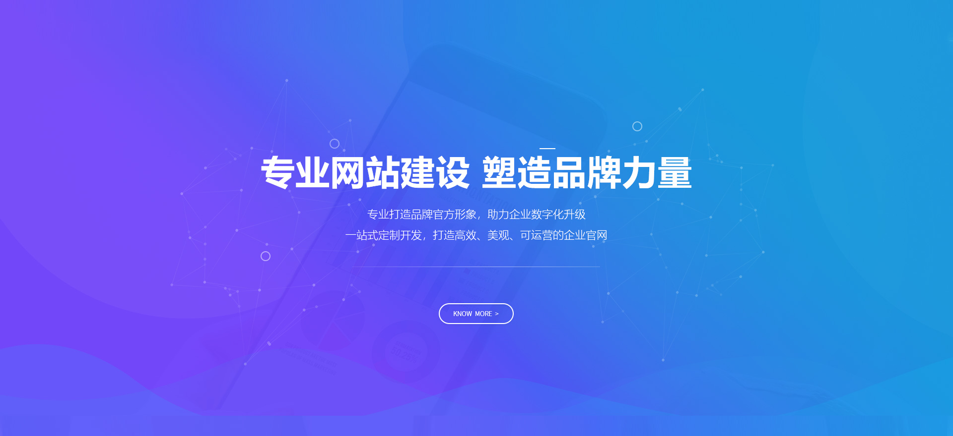 进贤建站-专业网站建设 塑造品牌力量