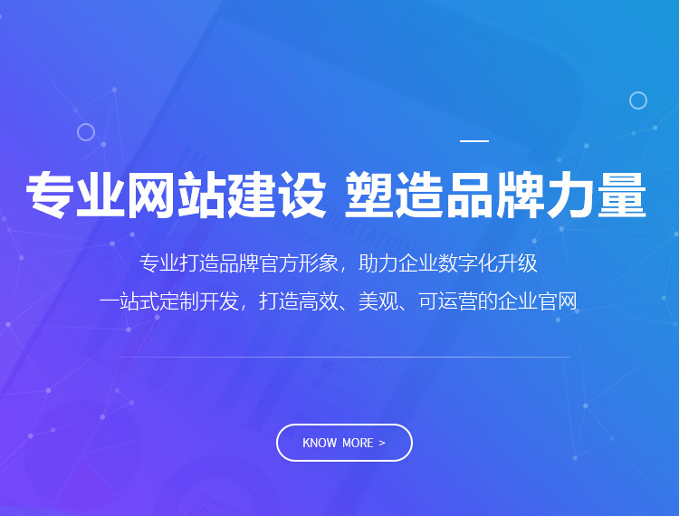 进贤建站-专业网站建设 塑造品牌力量